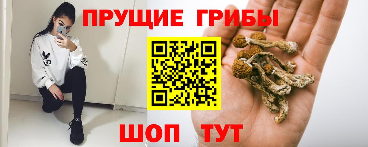 Невинномысск  наркотики  Вход с VPN  Псилоцибиновые грибы мухоморы 